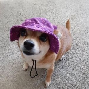 Meet your Posher, Karin